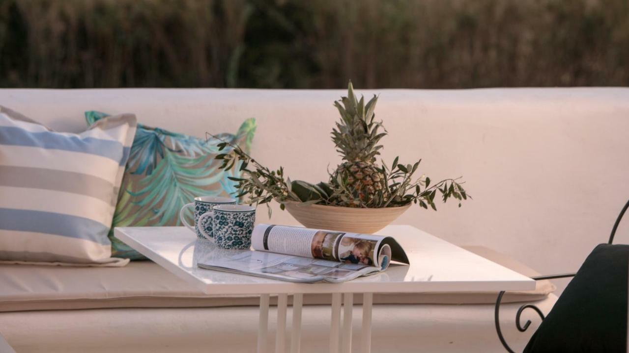 Villa Vaya Agia Anna  Ngoại thất bức ảnh